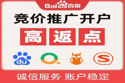 热门SEM运营公司案例深度剖析